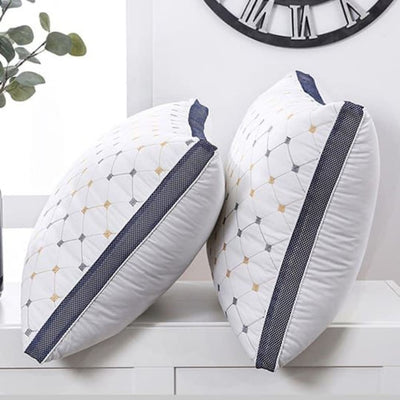 Embroided Polyster Filled Pillows Pair Pp - 002