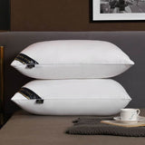 Vacuum Packed  2 Pillows VP-001